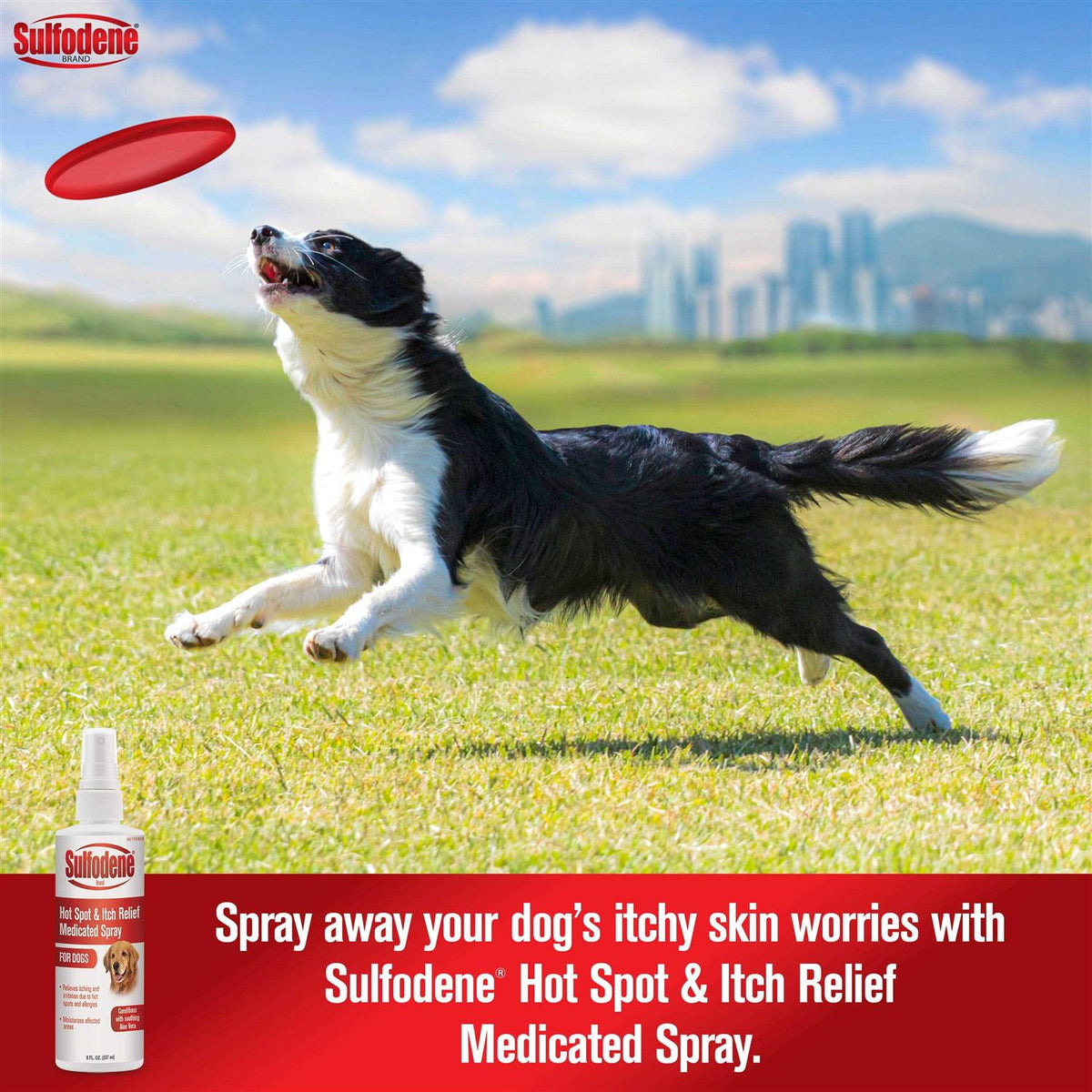 Hot Spot & Itch Relief Medicated Spray Y507492