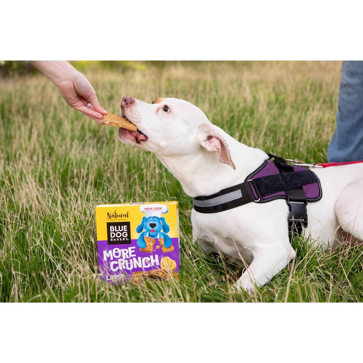 Assorted Flavors Dog Treats I359762