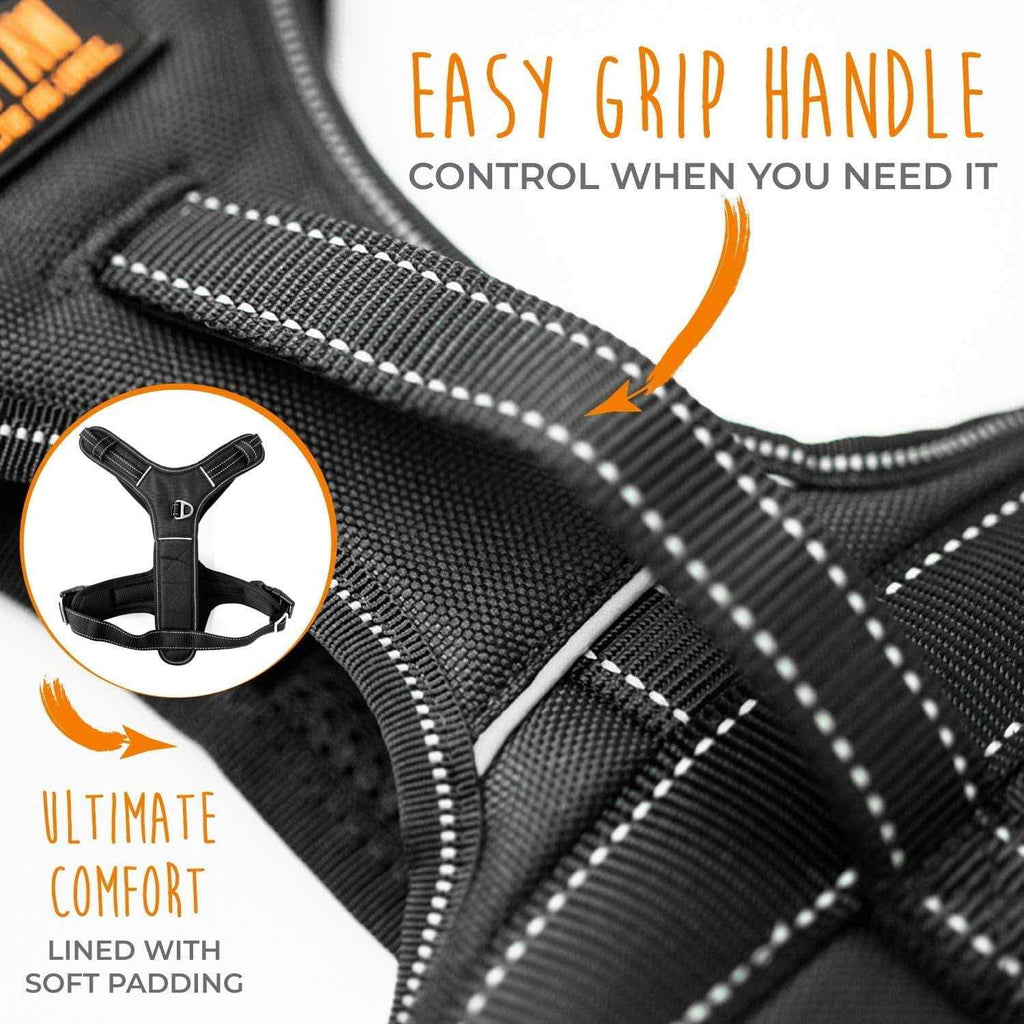 Padded Dog Harness W249424