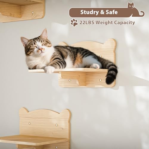 16 Pcs Wooden Cat Wall Shelves with Bed and Scratching Post Y90412