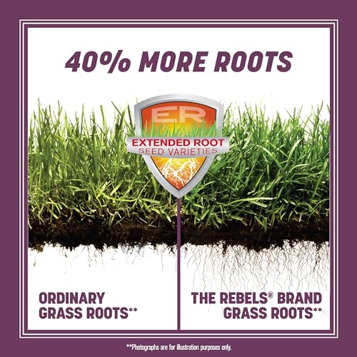 Tall Fescue Grass Seed Mix 7 lb V635