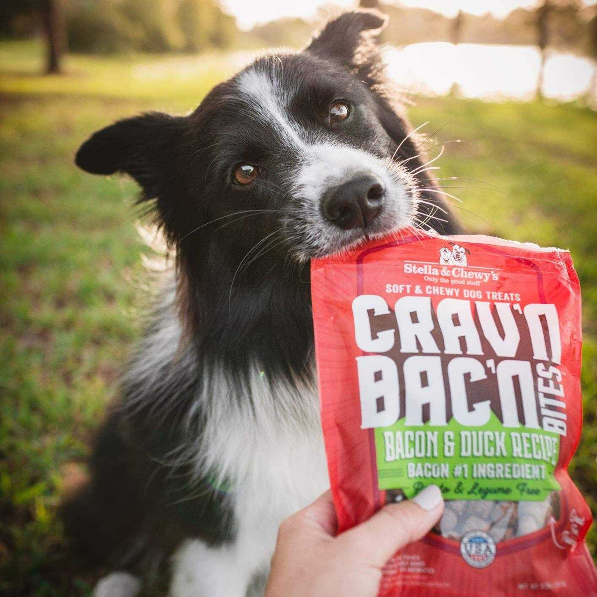 Bacon Dog Treats H4368