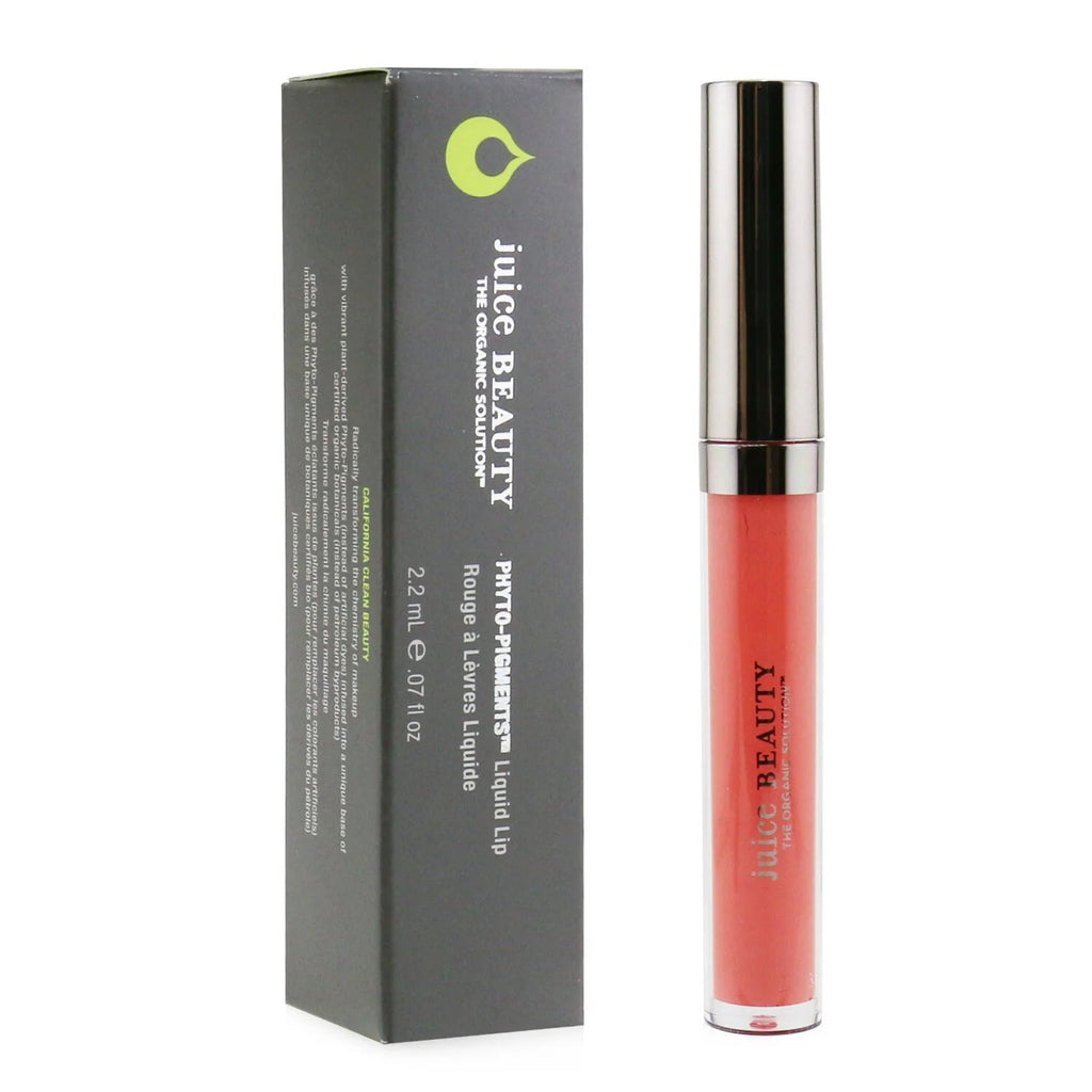 Liquid Lip 2.2ml/0.07oz P738663