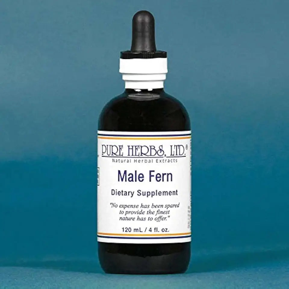 Male Fern Y836963
