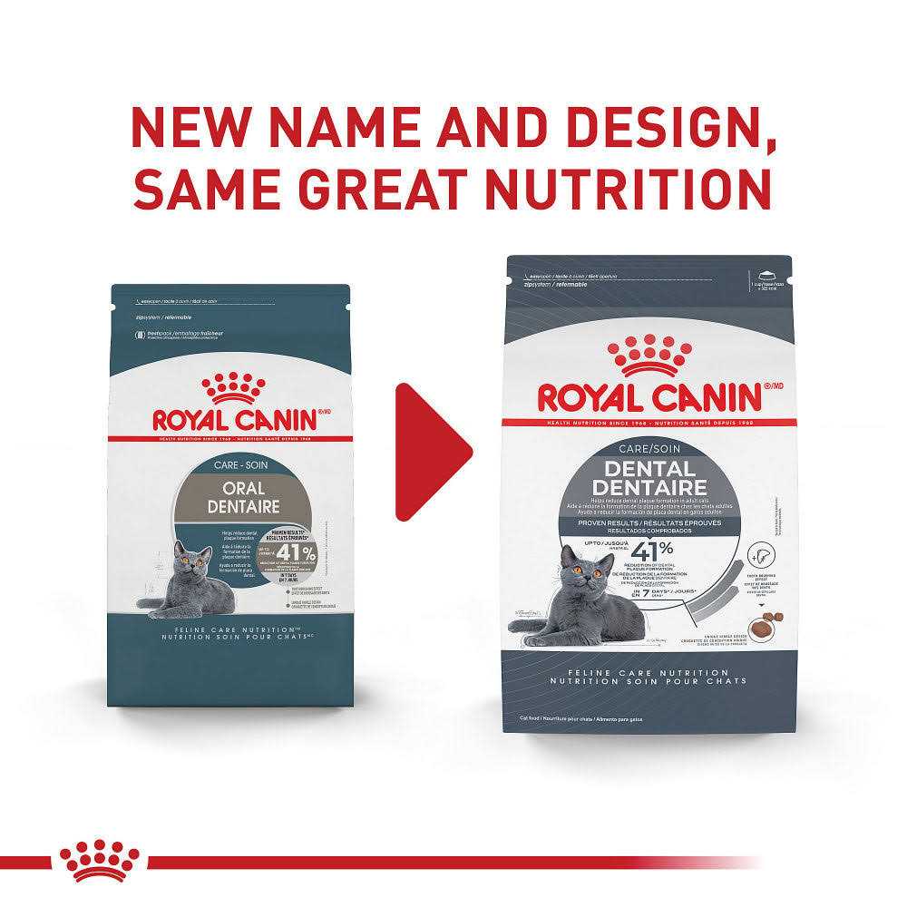 Oral Care Dry Cat Food D33257
