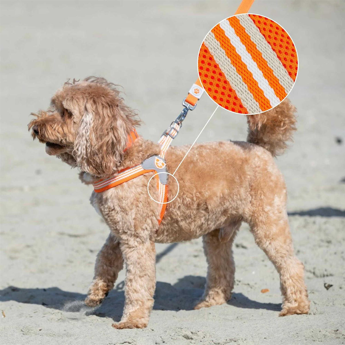 Dog Harness J54081