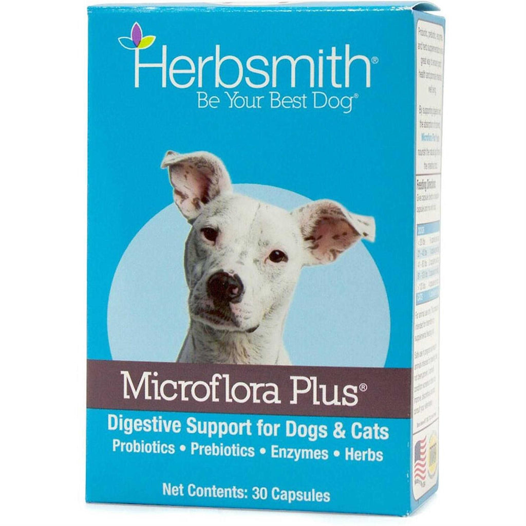 Microflora Plus for Digestion Pet Supplies S323195