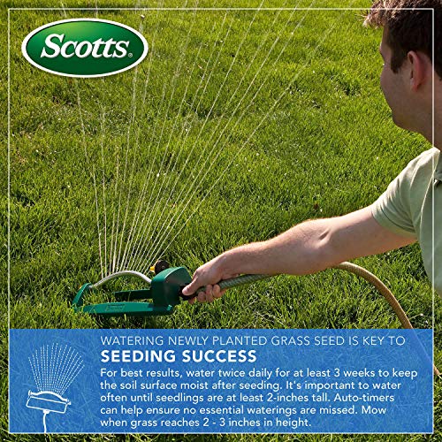 Grass Seed, Fertilizer, and Soil Improver for Tall Fescue, 4,000 sq. ft., 40 lbs. B124