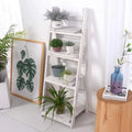 4Tier Wooden Plant Stand Foldable Ladder Shelf R699