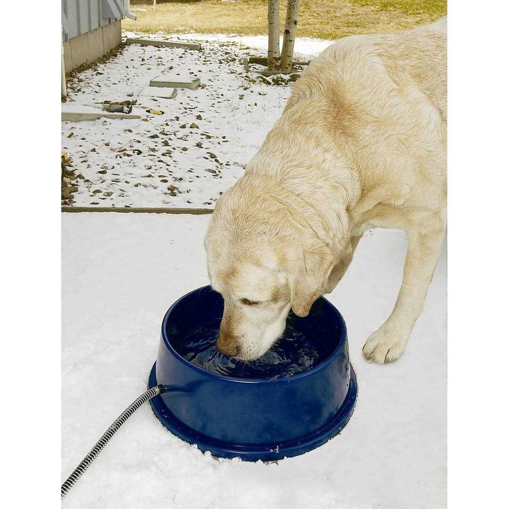 Thermal Pet Bowl C957574
