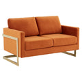 Upholstered Velvet Loveseat with Gold Frame B191126