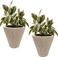 Ceramic Flower Pot Planter Vase Set of 2 8 Inch Cream Z64796