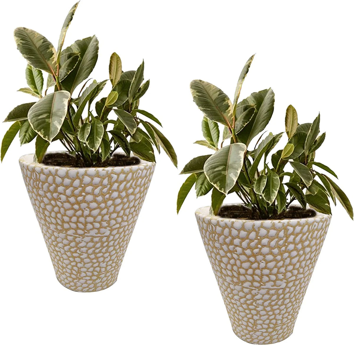 Ceramic Flower Pot Planter Vase Set of 2 8 Inch Cream Z64796