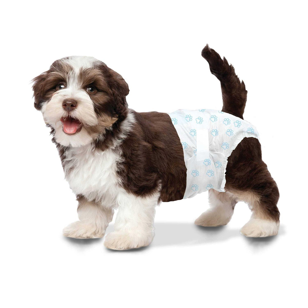 Disposable Diapers Q166001