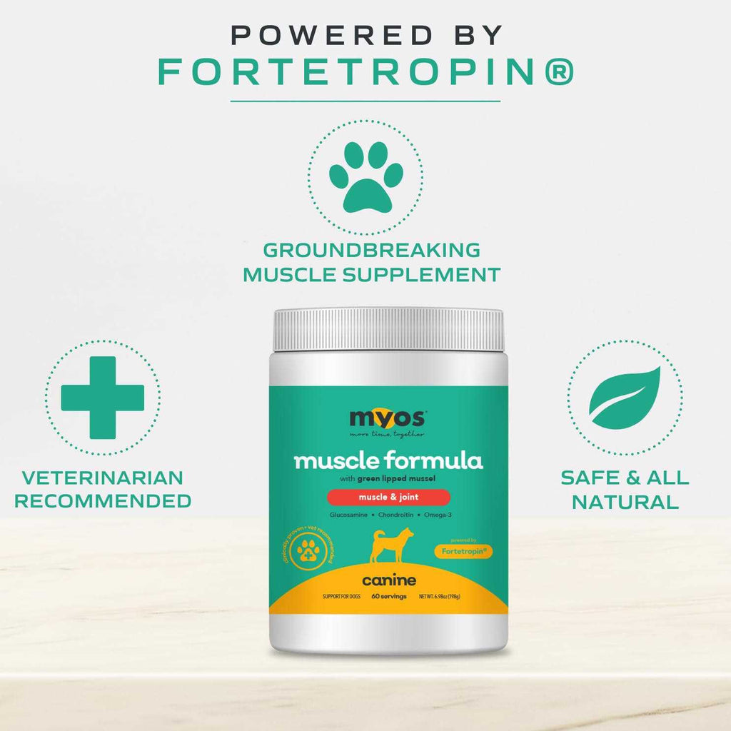 Canine Muscle & Joint Formula with Green Lipped Mussel Powder Dog Supplement B651