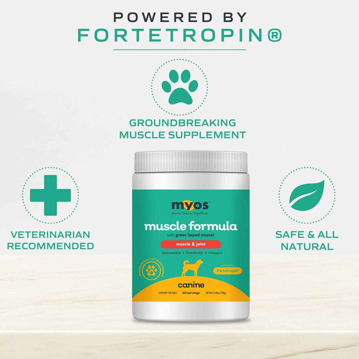 Canine Muscle & Joint Formula with Green Lipped Mussel Powder Dog Supplement B651