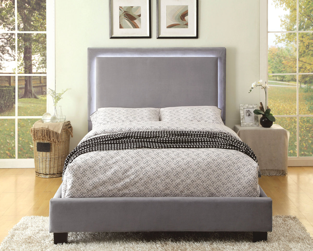 Queen Gray Bed U10128