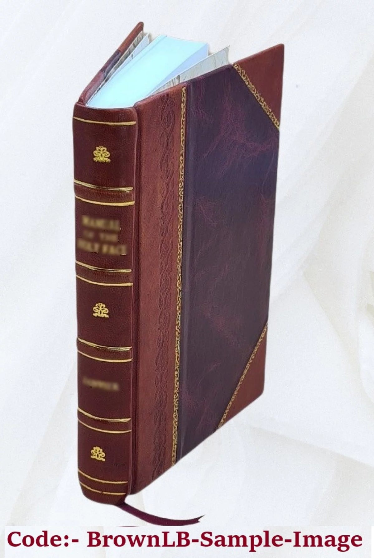 Leather Bound Book D26549