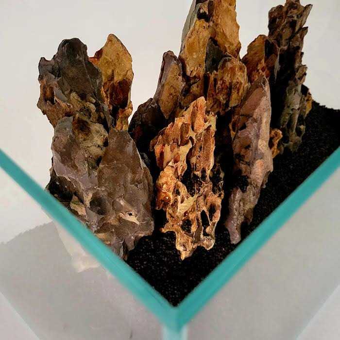 Crystal Aquarium X477357