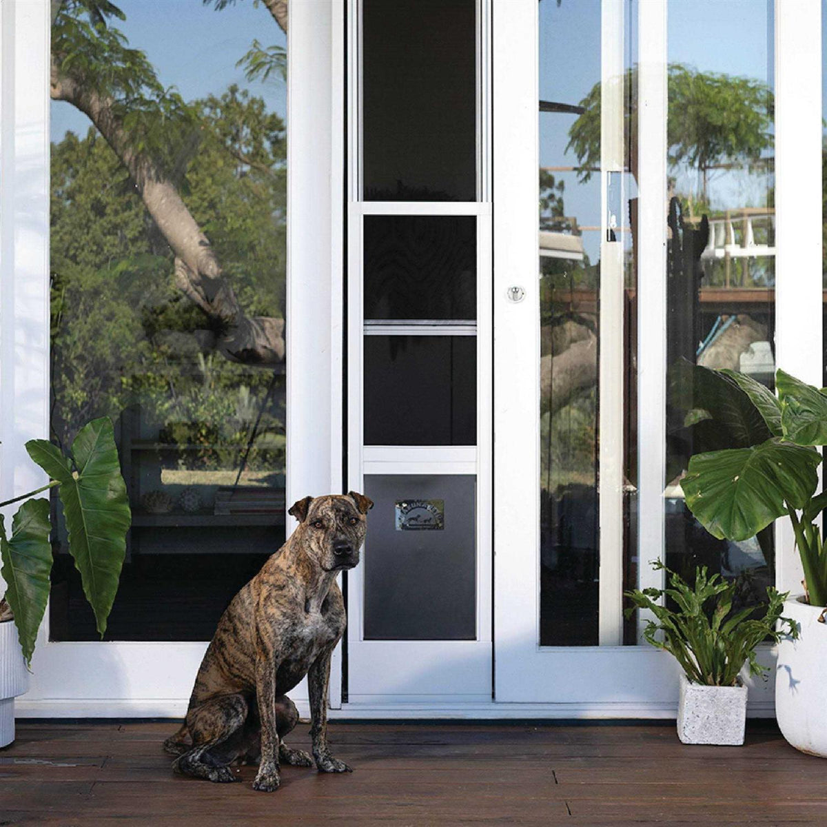 Patio Pet Door Screen Insert Panel A4947