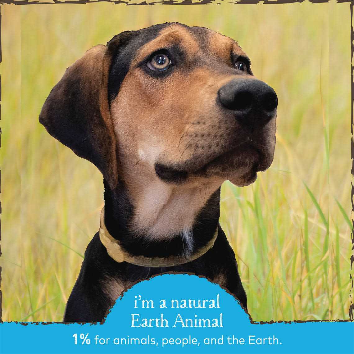 Herbal Flea Tick Collar for Dogs K144
