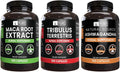 Maca Root, Ashwagandha, & Tribulus Terrestris Capsules Y152