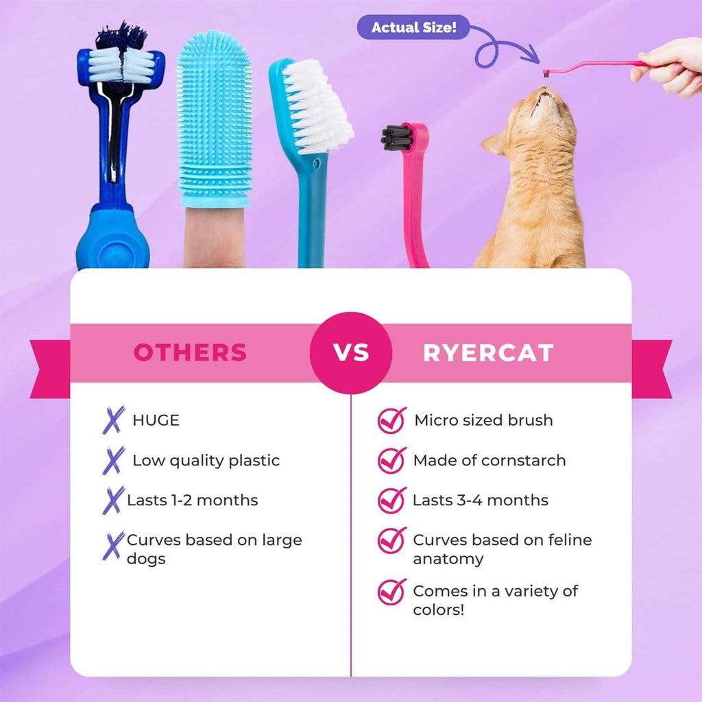 Dual Sided Cat Toothbrush D962405