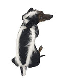 Dog Halloween Costume (Medium) G36964