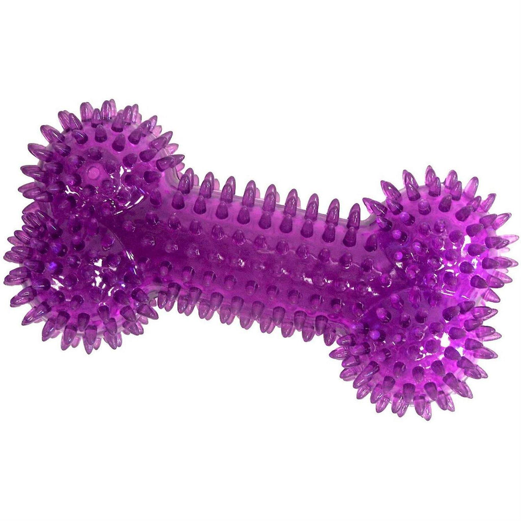 Squeaker Bone Dog Toy A7924