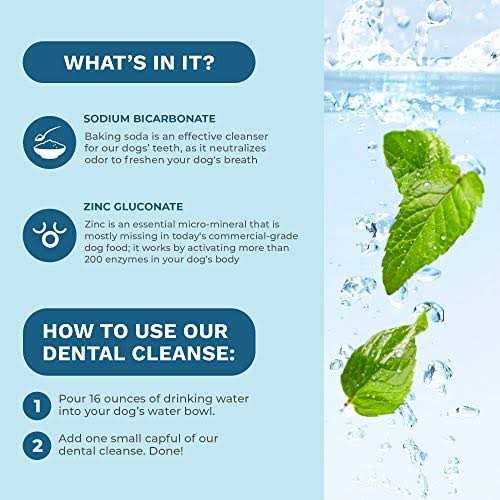 Dental Cleanse for Dogs & Cats Q4166