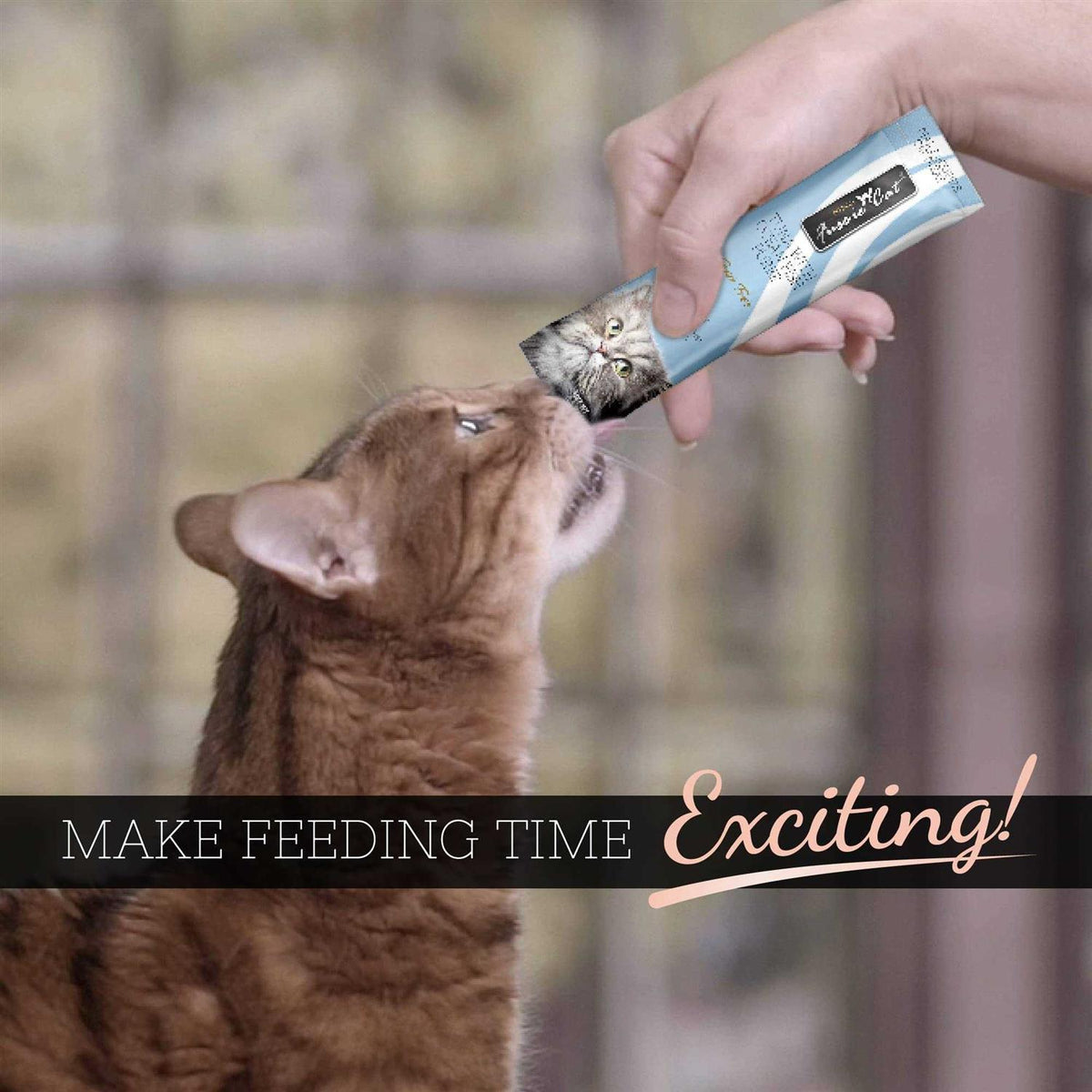 Tuna Cat Puree J22516