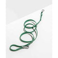Dog Leash D891