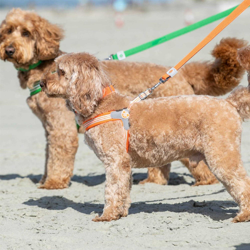 Dog Harness J54081