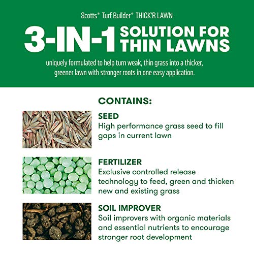 Grass Seed, Fertilizer, and Soil Improver for Tall Fescue, 4,000 sq. ft., 40 lbs. B124