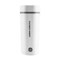 Small Stainless Steel Electric Kettle B83923