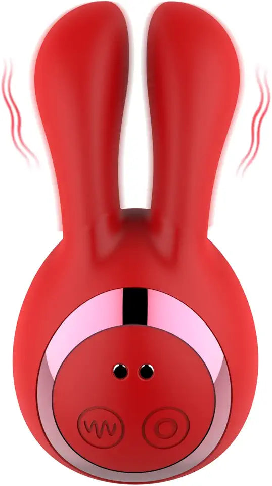 2 in 1 Rabbit Vibrator with 13 Vibration Modes S124