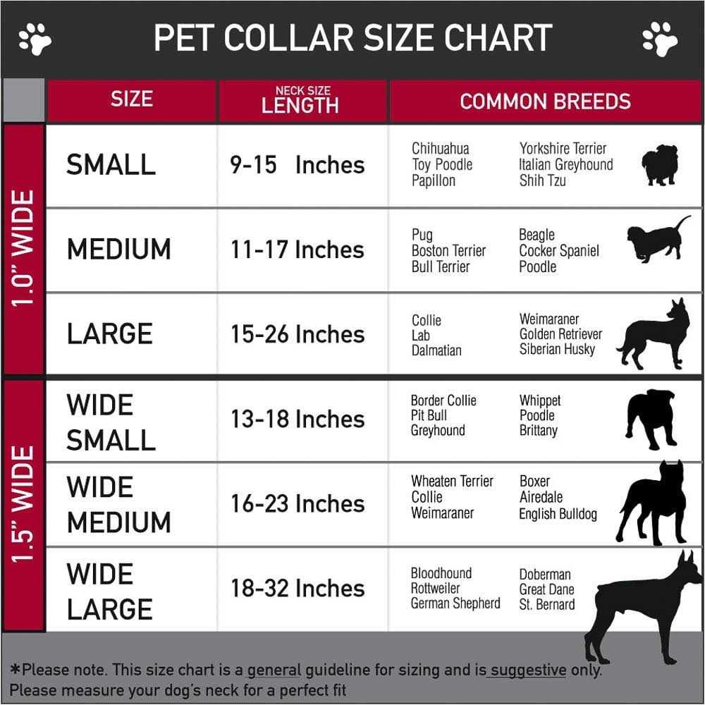 Dog Collar Seatbelt Buckle Z4689