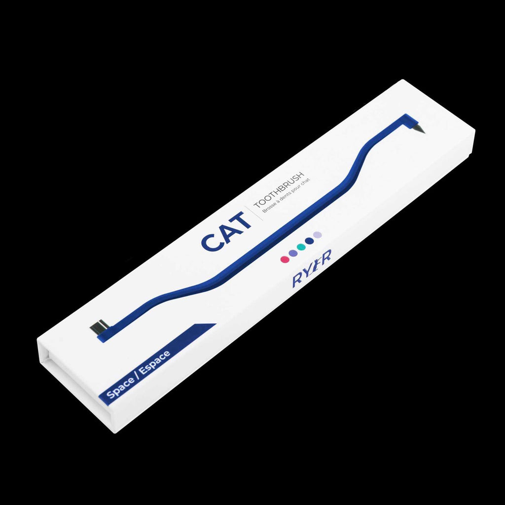 Dual Sided Cat Toothbrush D962405