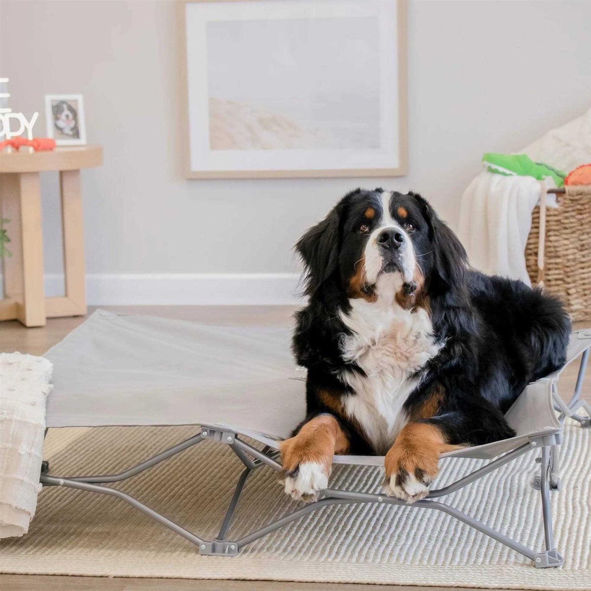 Portable Pet Bed H263707