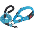 2 Packs Martingale Dog Collar with Quick Release Buckle Reflective Dog Training Collars F23797