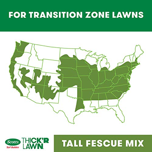 Grass Seed, Fertilizer, and Soil Improver for Tall Fescue, 4,000 sq. ft., 40 lbs. B124