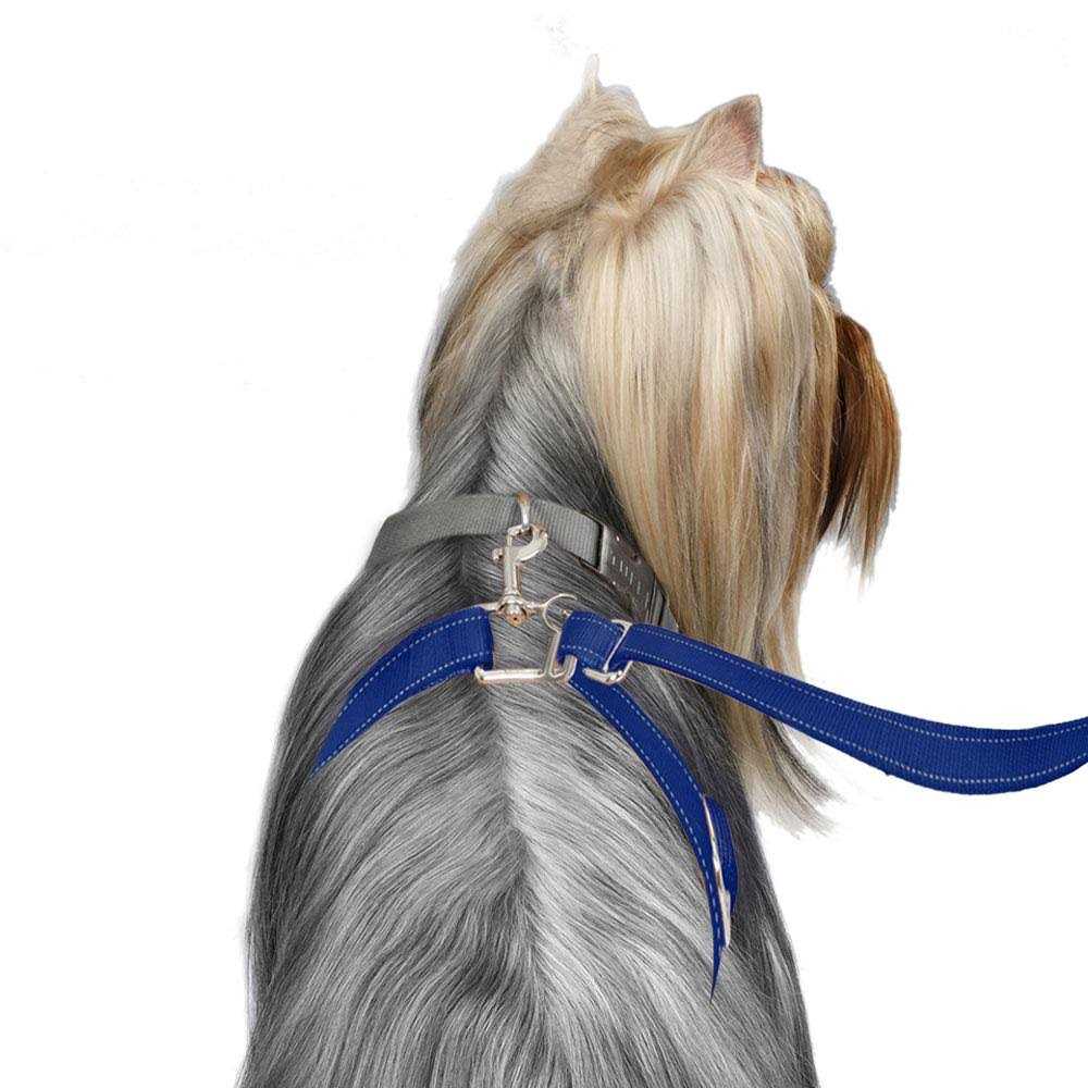 Dog Leash F47469