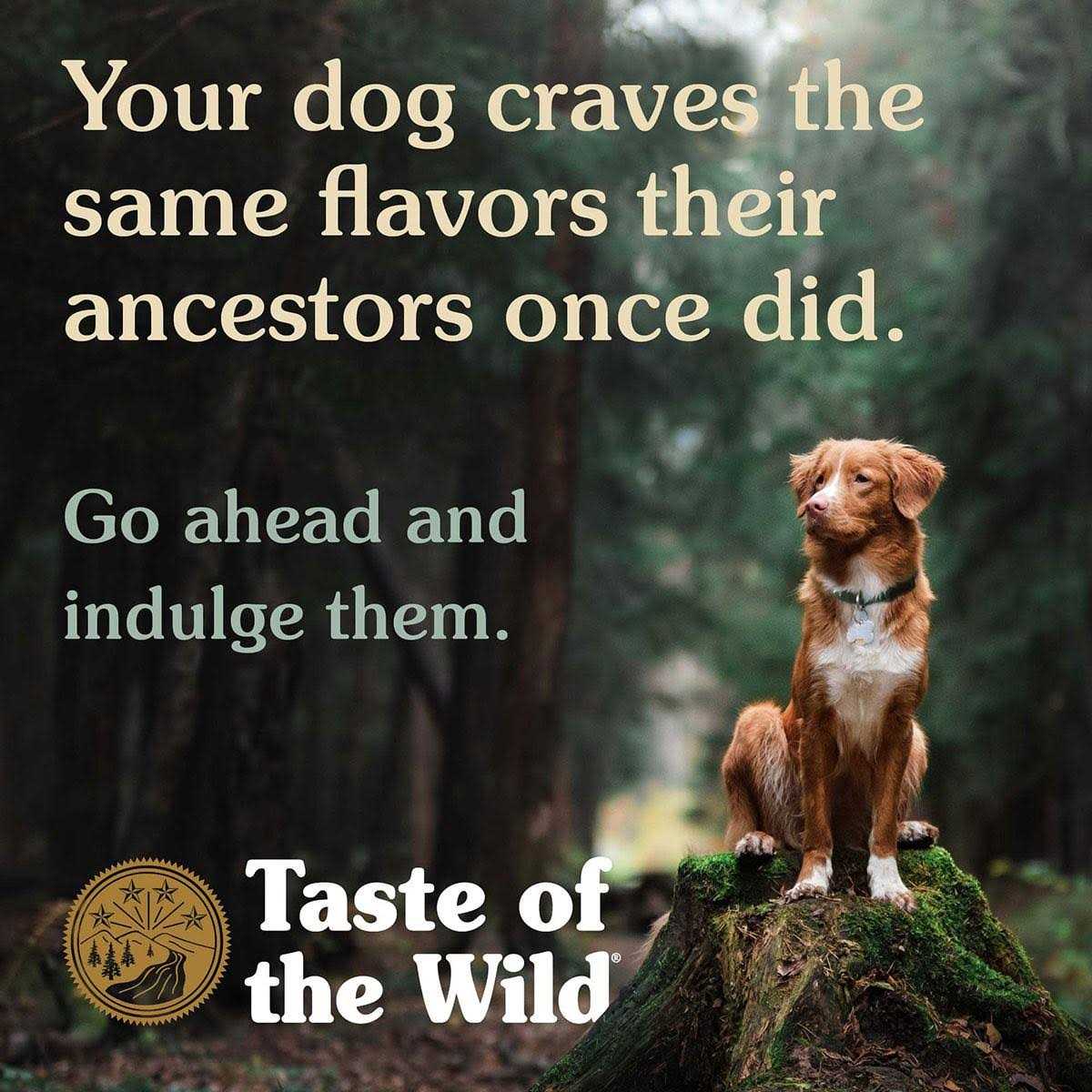 Salmon Dog Food N9482