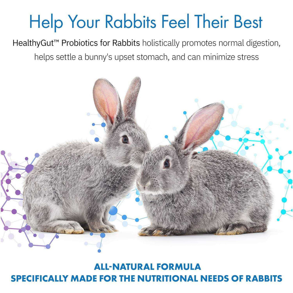Probiotics Rabbit Supplement A226