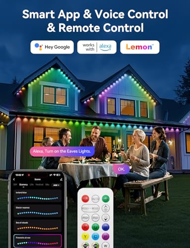Permanent Outdoor Lights with DIY Colors E5906