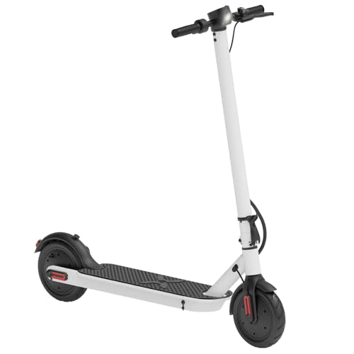 Electric Scooter with 700W Brushless Dual Motor Q850207