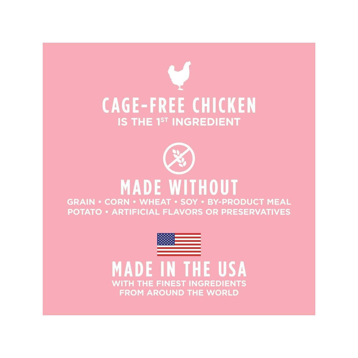 Grain-Free Skin & Coat Cat Food Topper P57515