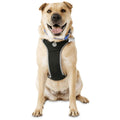Black Dog Harness A1289