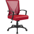 Black Ergonomic Mesh Office Chair with Armrest N391012