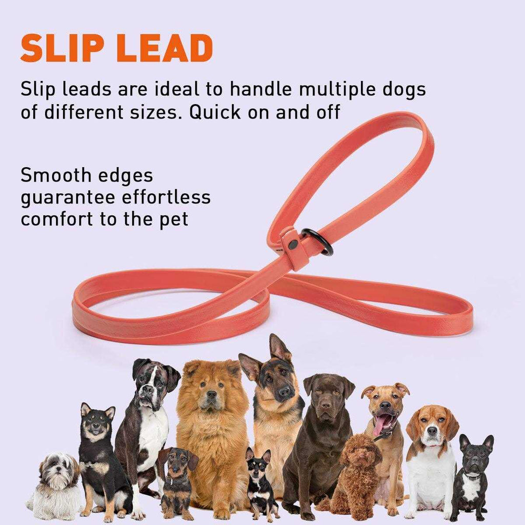 Biothane Slip Dog Leash X40280